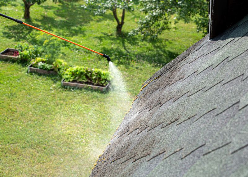 Roof Maintenance Services